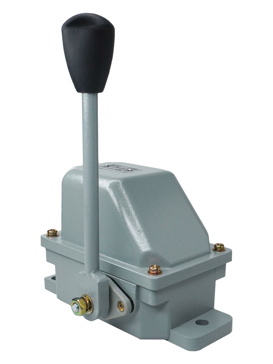 ВУ-702 У1, рычаг с ручкой, 2 положения, 10А, IP44, 2 эл. цепи  (ЭТ)