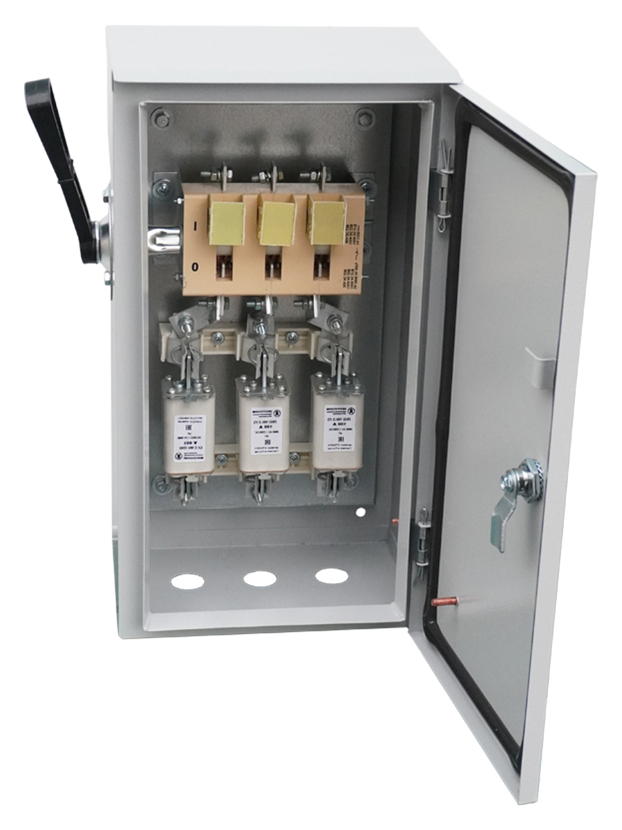 ЯРПП-100-54 УХЛ2, с ППН-33 100А, держатели медь, IP54  (ЭТ)